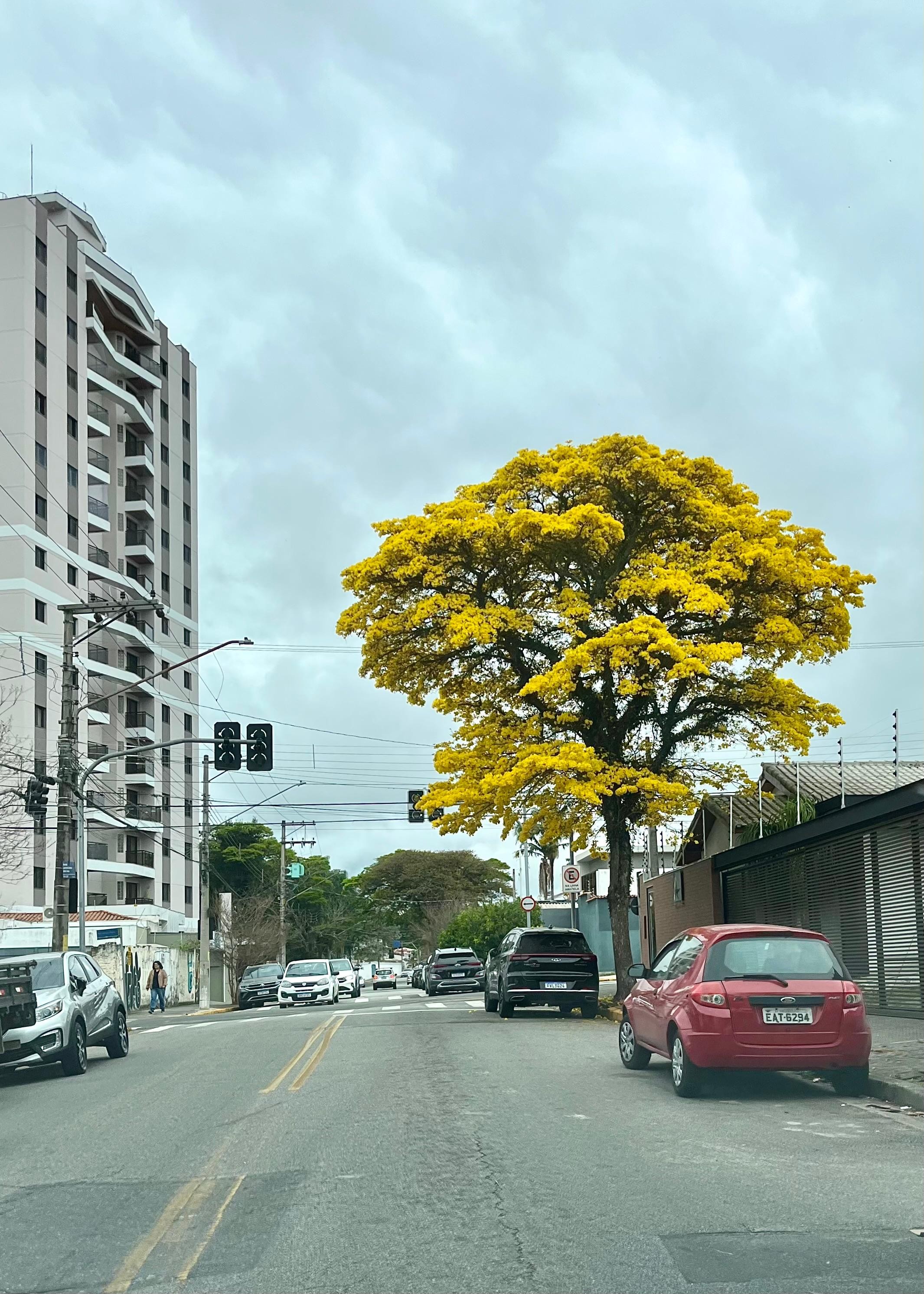 foto Not&iacute;cia Itaqui