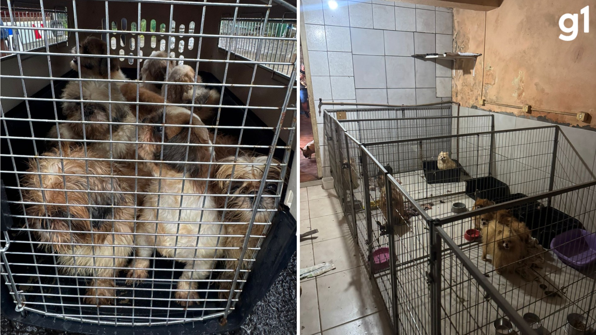 foto Not&iacute;cia Itaqui